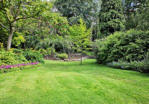 Optimiser l'expérience du jardin à Landouzy-la-Cour